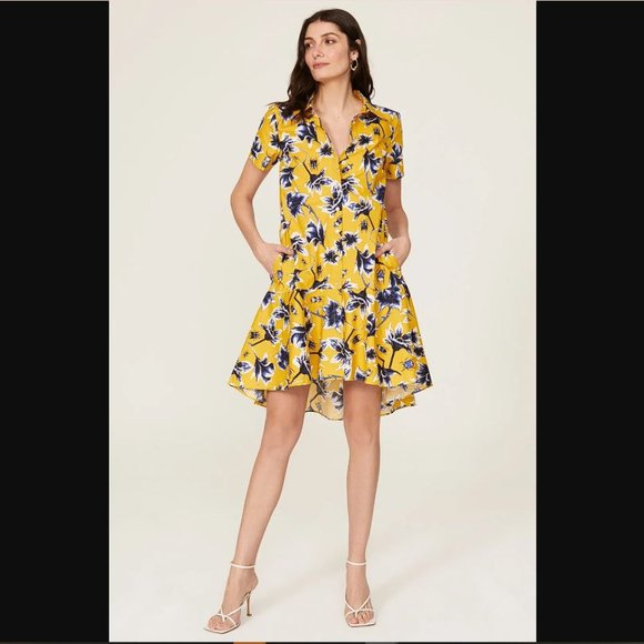 OSMAN YOUSEFZADA COLLECTIVE Women's Beetle Print Shirtdress Size 10 - Picture 1 of 6